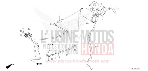 CUVETTE CB1000RAM de 2021